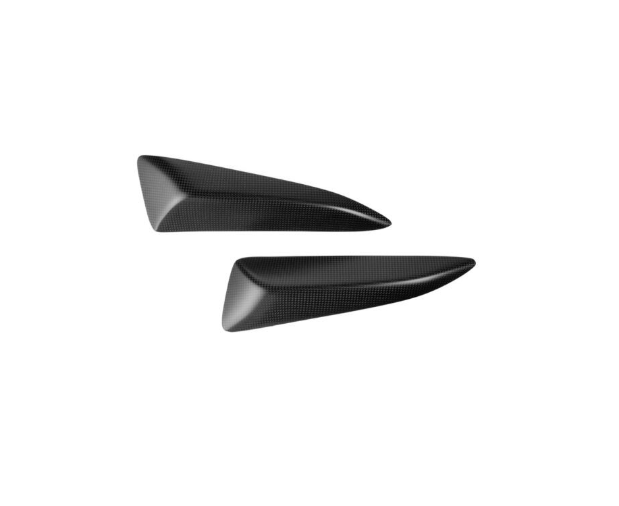 Lightech Protezione Serbatoio in Carbonio Opaco per Ducati Panigale V4 - V4 S - 2025