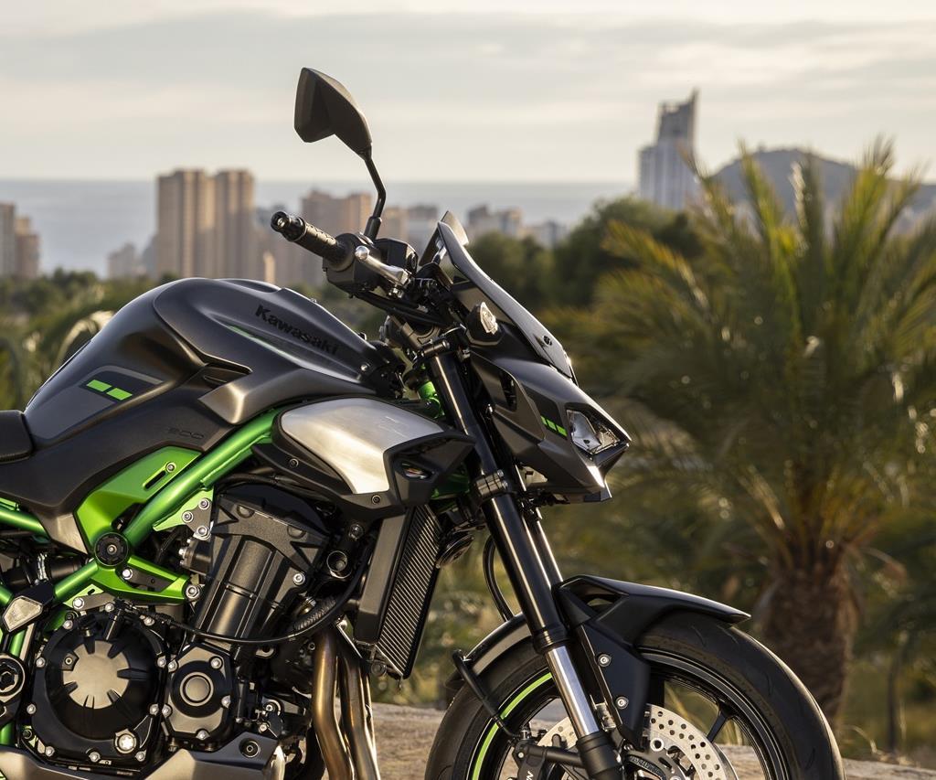 Parabrezza Large (Fumè) per Kawasaki Z900