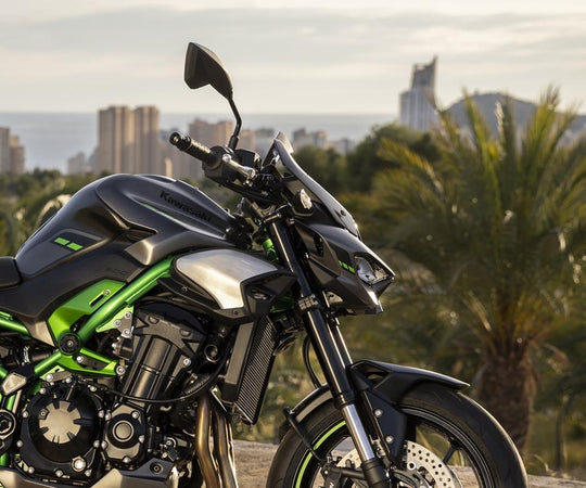 Parabrezza Large (Fumè) per Kawasaki Z900