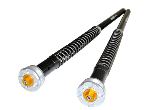 Caruccia Idraulica Andreani Misano Evo 2 per  Kawasaki Z 900 SE / 2022- / (Kayaba 41)