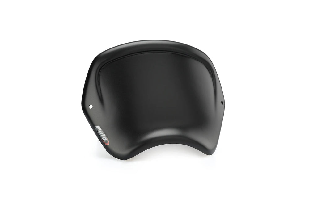 Carenatura frontale per Kawasaki z900rs 2026