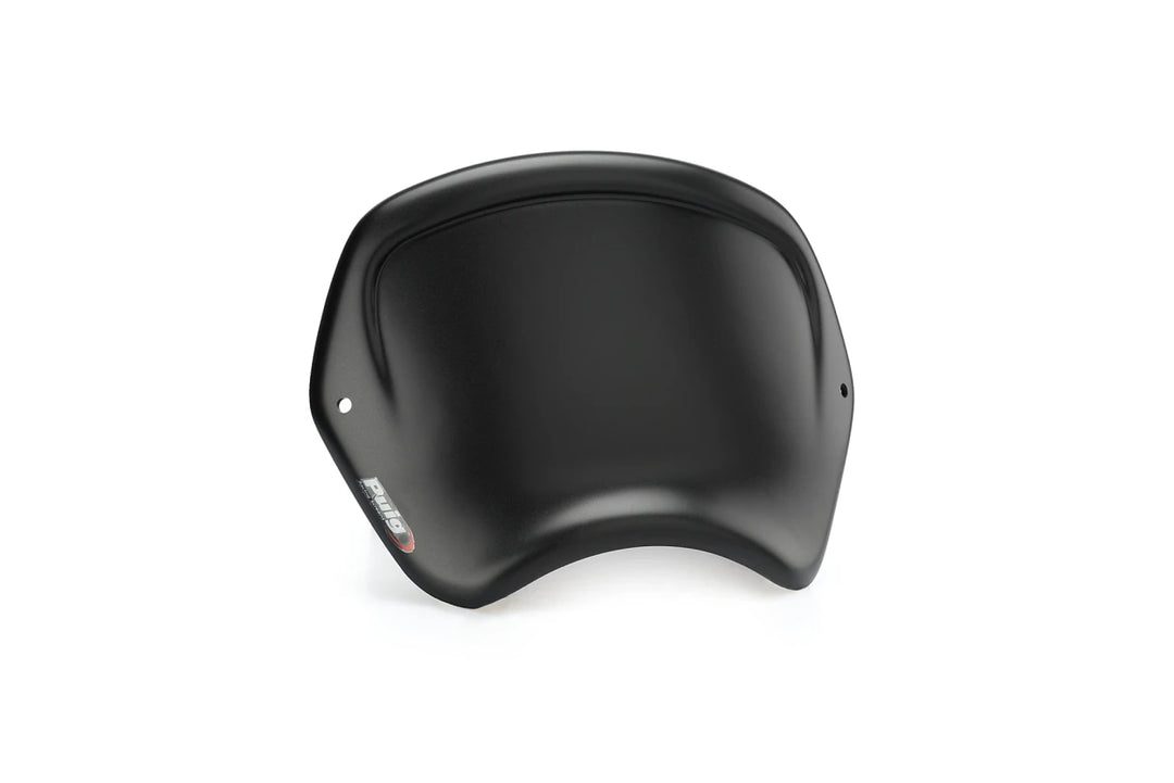 Carenatura frontale per Kawasaki z900rs 2026