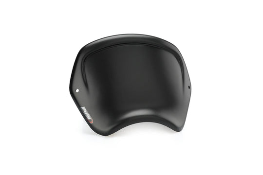Carenatura frontale per Kawasaki z900rs 2026
