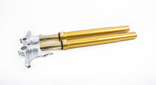 FORCELLA OHLINS KAWASAKI ZX10-R/R – 2021 – FG R&T 43 GOLD – NIX