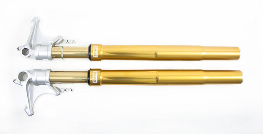 FORCELLA OHLINS KAWASAKI ZX10-R/R – 2021 – FG R&T 43 GOLD – NIX