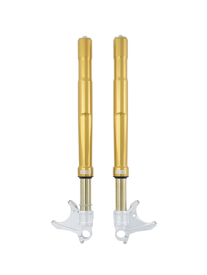 FORCELLA OHLINS KAWASAKI ZX10-R/R – 2021 – FG R&T 43 GOLD – NIX