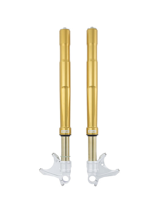 FORCELLA OHLINS KAWASAKI ZX10-R/R – 2021 – FG R&T 43 GOLD – NIX