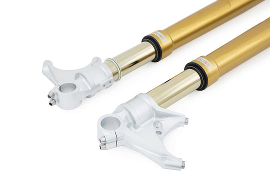 FORCELLA OHLINS KAWASAKI ZX10-R/R – 2021 – FG R&T 43 GOLD – NIX