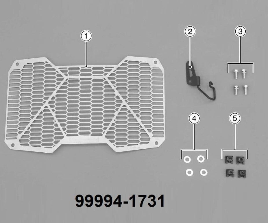 999941731 Griglia radiatore