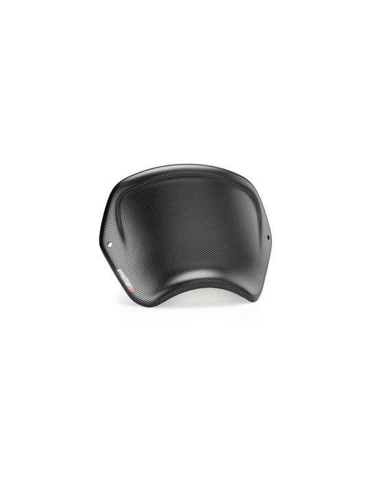 Carenatura frontale per Kawasaki z900rs 2026