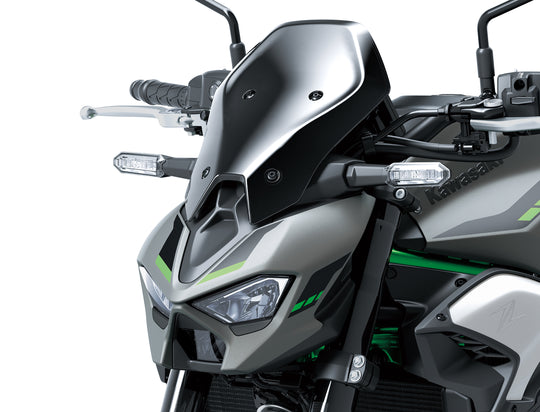Parabrezza Large (Fumè) per Kawasaki Z900